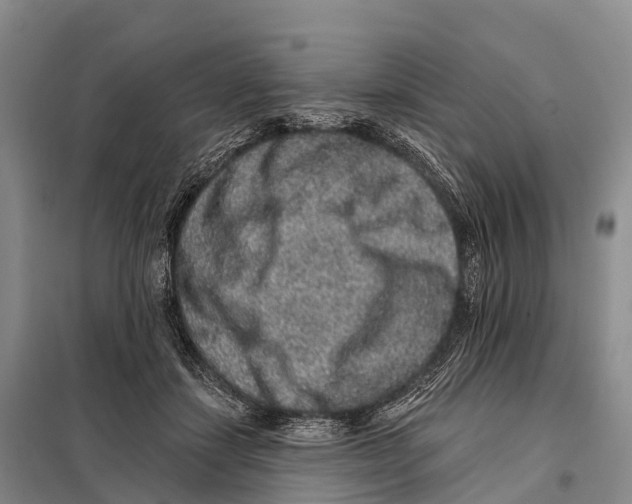 X0000098010459200804251118