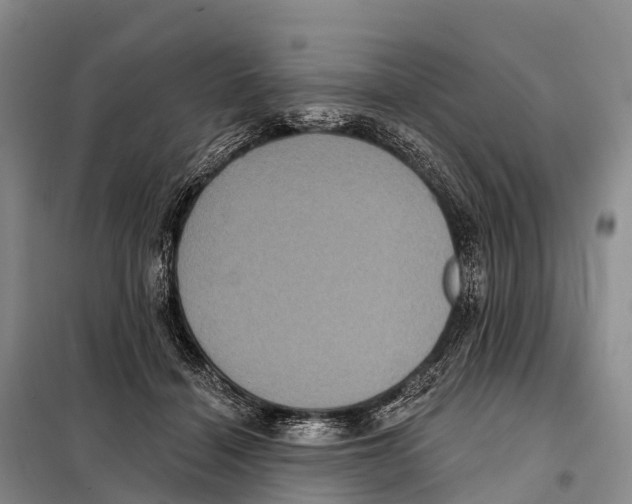 X0000098010460200804251118