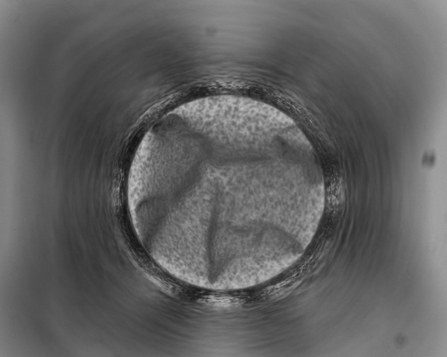 X0000098010464200804251118