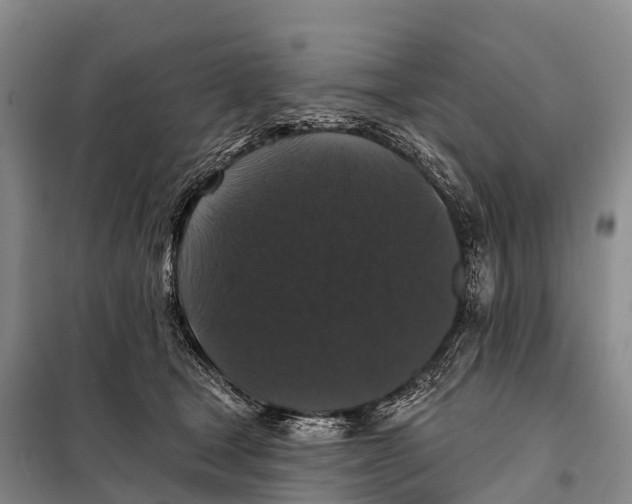 X0000098010465200804251118