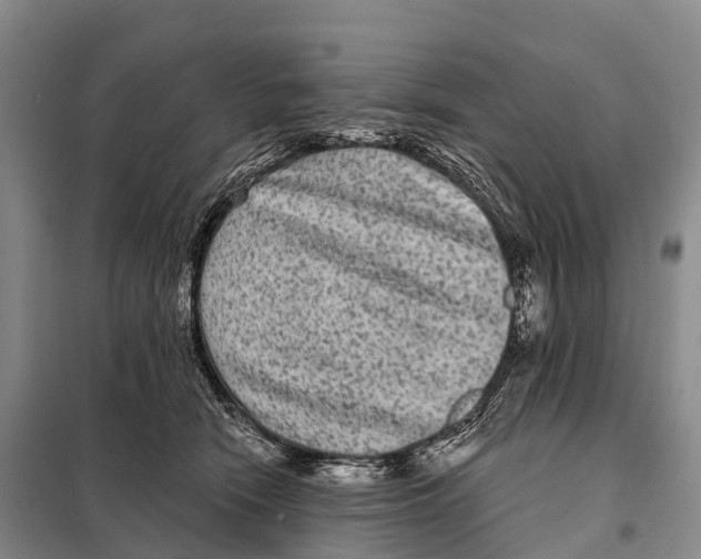 X0000098010466200804251118