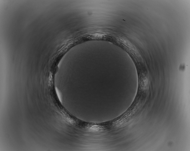 X0000098010467200804251118