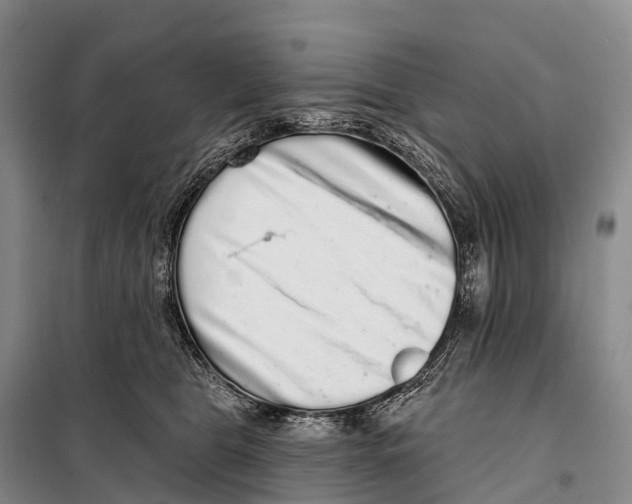 X0000098010469200804251118