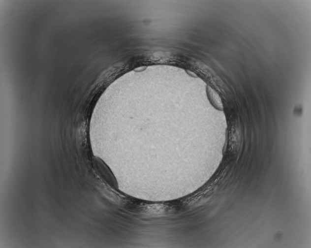 X0000098010473200804251118