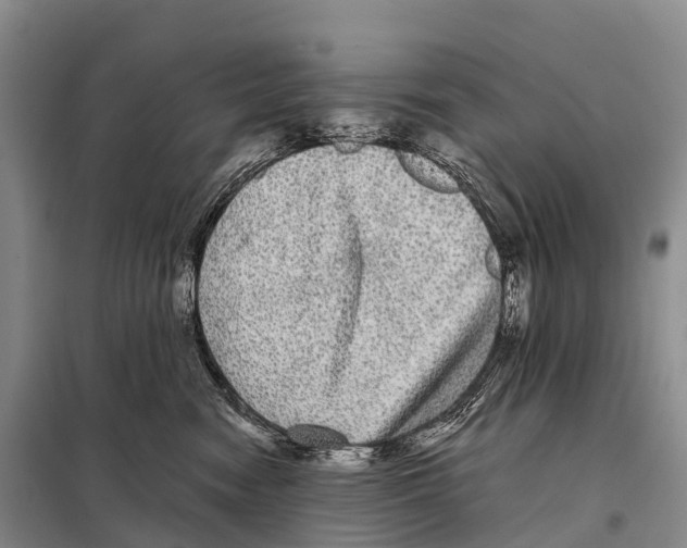 X0000098010474200804251118