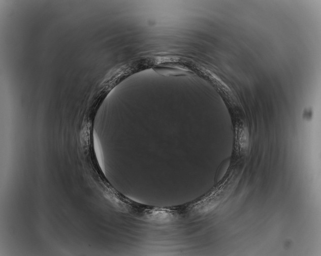 X0000098010475200804251118