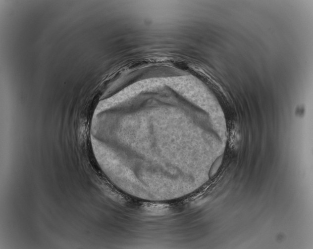 X0000098010476200804251118