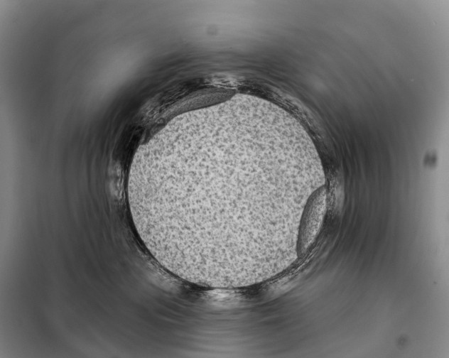 X0000098010477200804251118