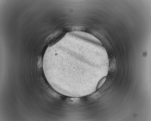 X0000098010478200804251118