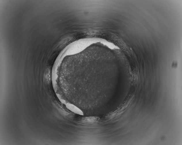 X0000098010479200804251118