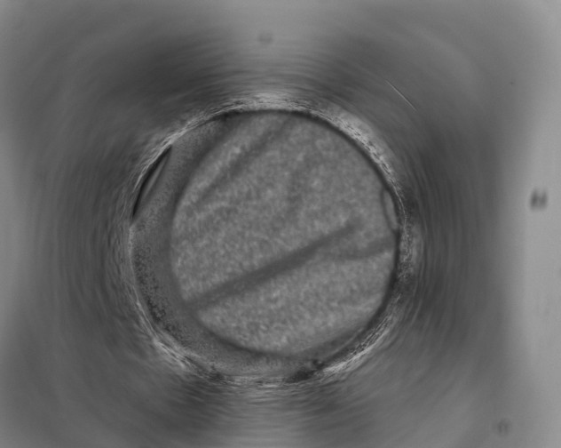 X0000098010481200804251118