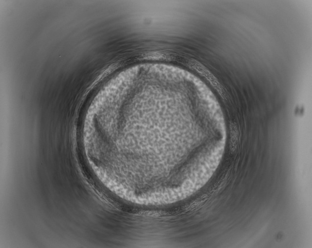 X0000098010482200804251118