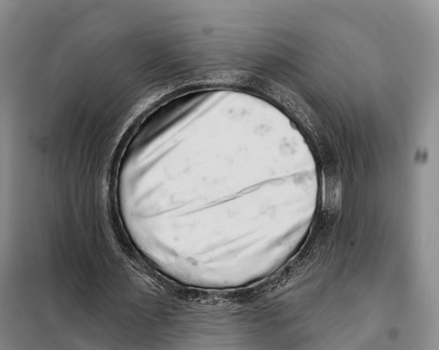 X0000098010483200804251118