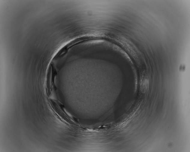 X0000098010484200804251118