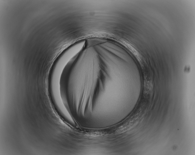 X0000098010485200804251118