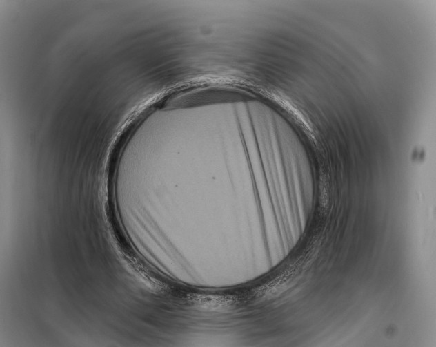 X0000098010486200804251118