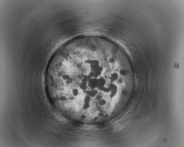 X0000098010487200804251118