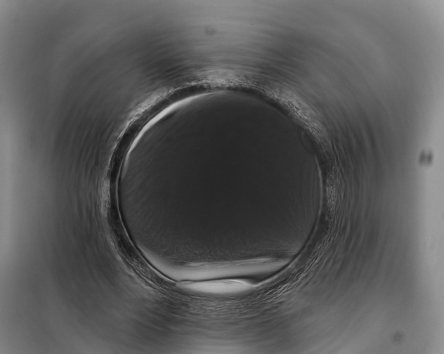 X0000098010488200804251118