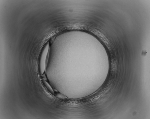 X0000098010489200804251118