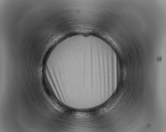 X0000098010490200804251118