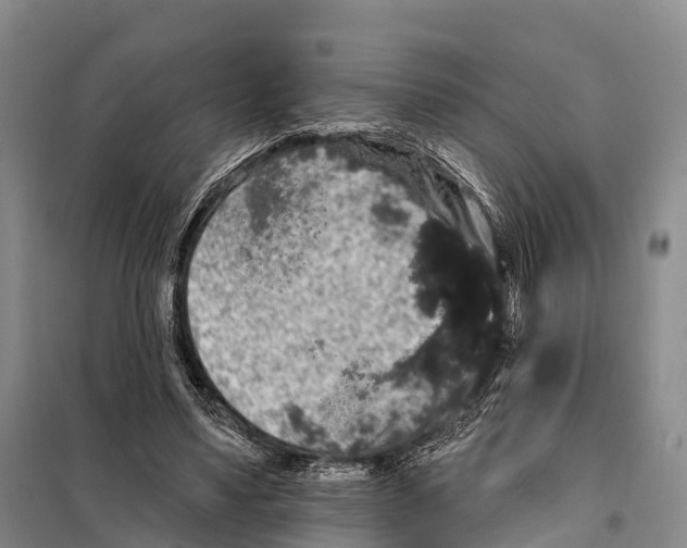 X0000098010491200804251118