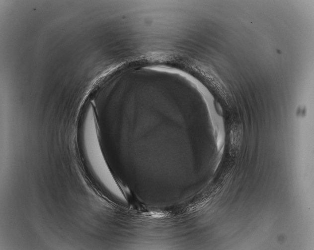 X0000098010492200804251118