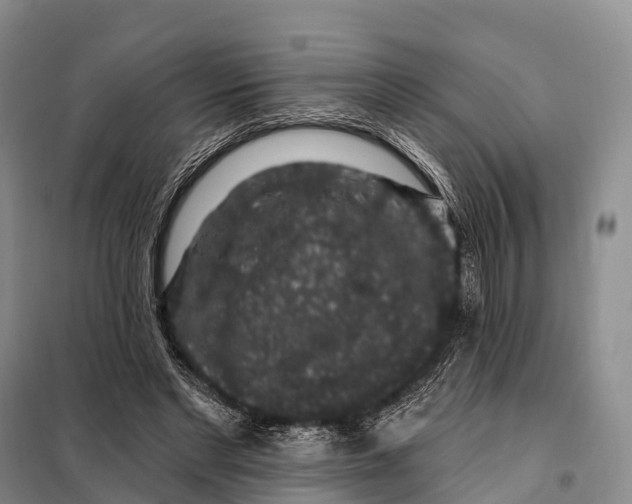 X0000098010493200804251118