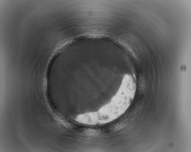 X0000098010494200804251118