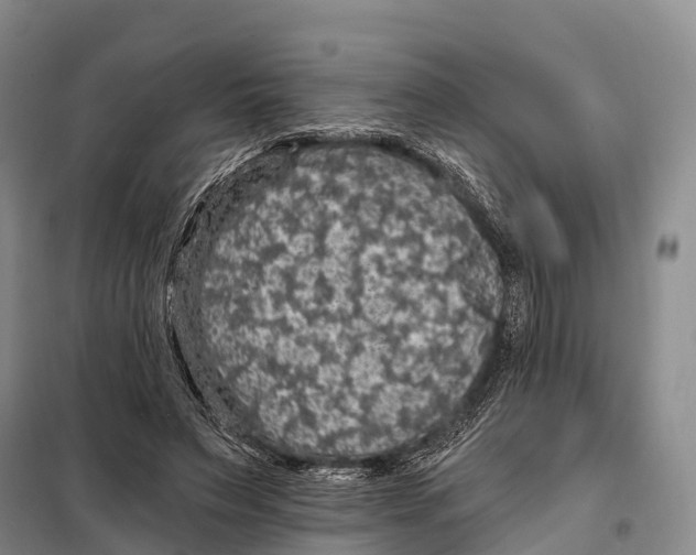 X0000098010495200804251117