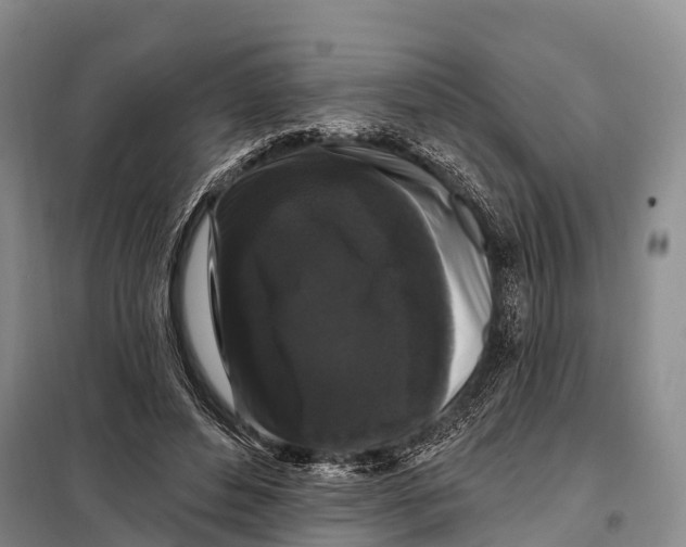 X0000098010496200804251117