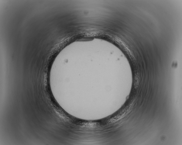 X0000098010497200804251117