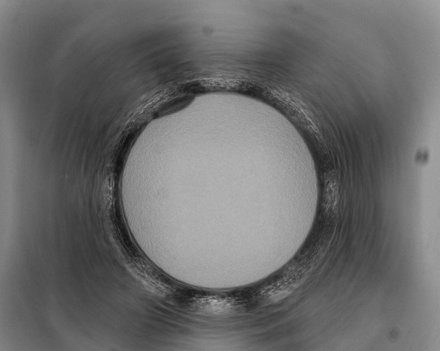 X0000098010498200804251117