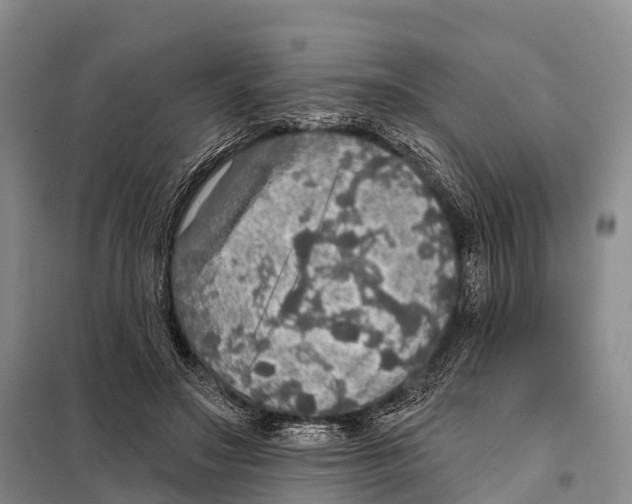 X0000098010499200804251117