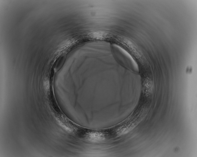 X0000098010500200804251117