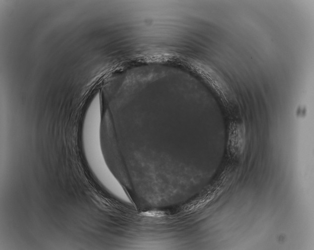 X0000098010501200804251117