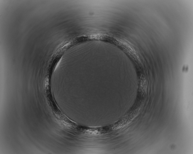 X0000098010502200804251117