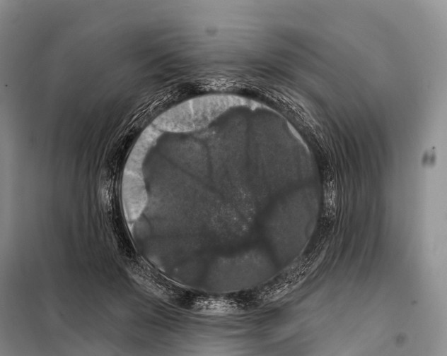 X0000098010503200804251117