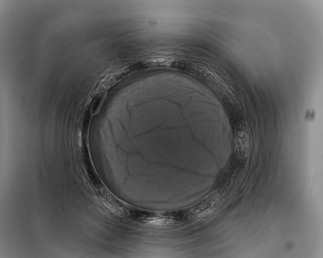 X0000098010504200804251117