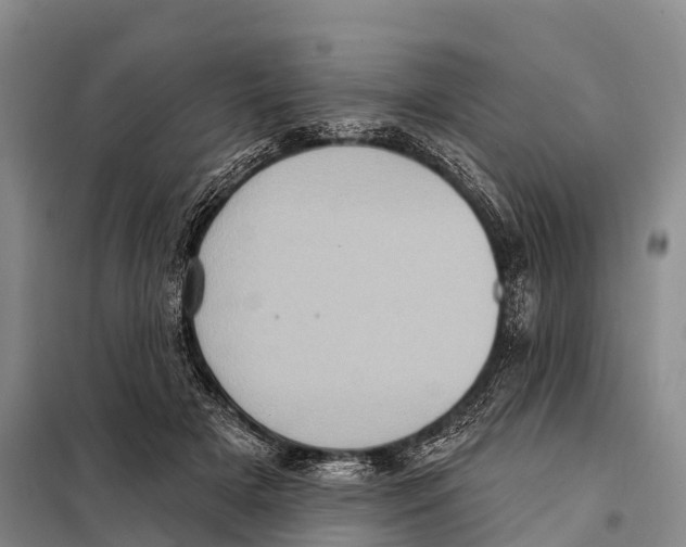 X0000098010505200804251117