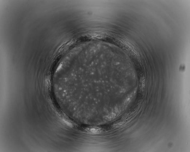 X0000098010506200804251117