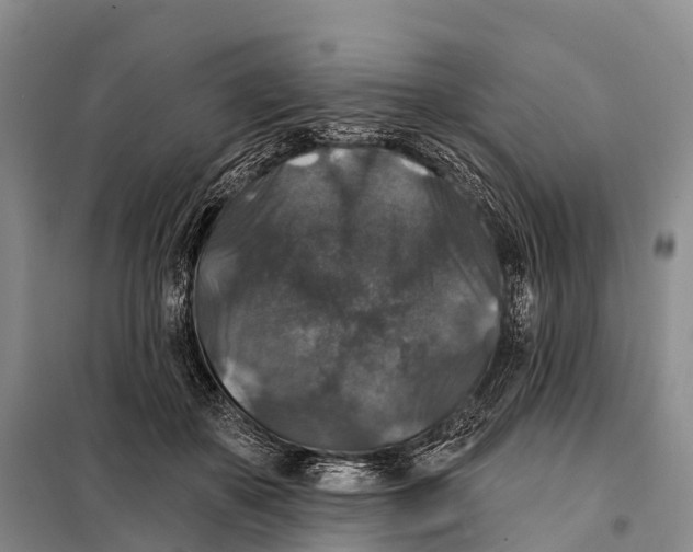 X0000098010507200804251117