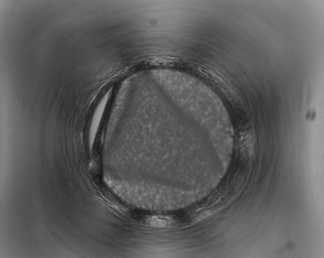 X0000098010508200804251117