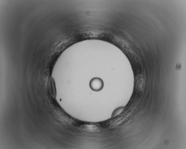 X0000098010509200804251117