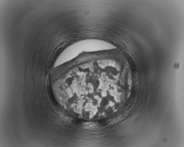 X0000098010511200804251117