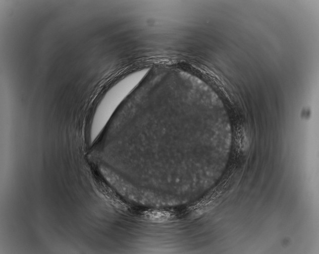 X0000098010512200804251117