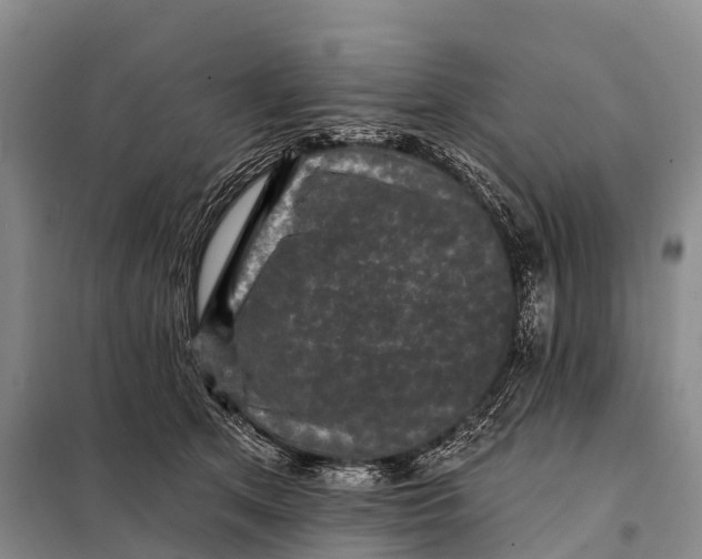 X0000098010513200804251117