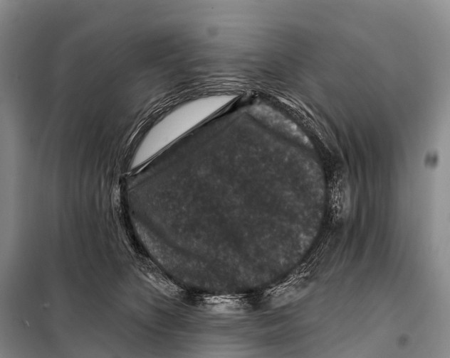 X0000098010516200804251117