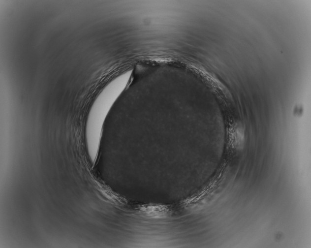 X0000098010517200804251117