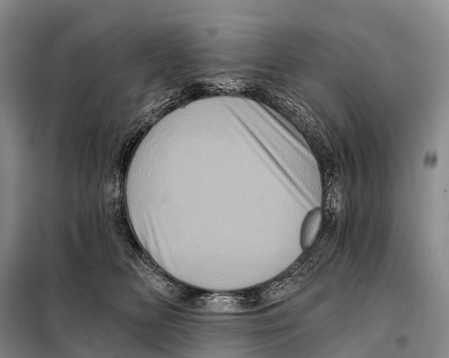 X0000098010518200804251117