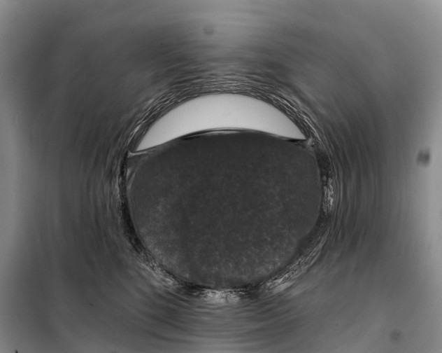 X0000098010520200804251117